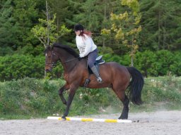 IMG_0539_web